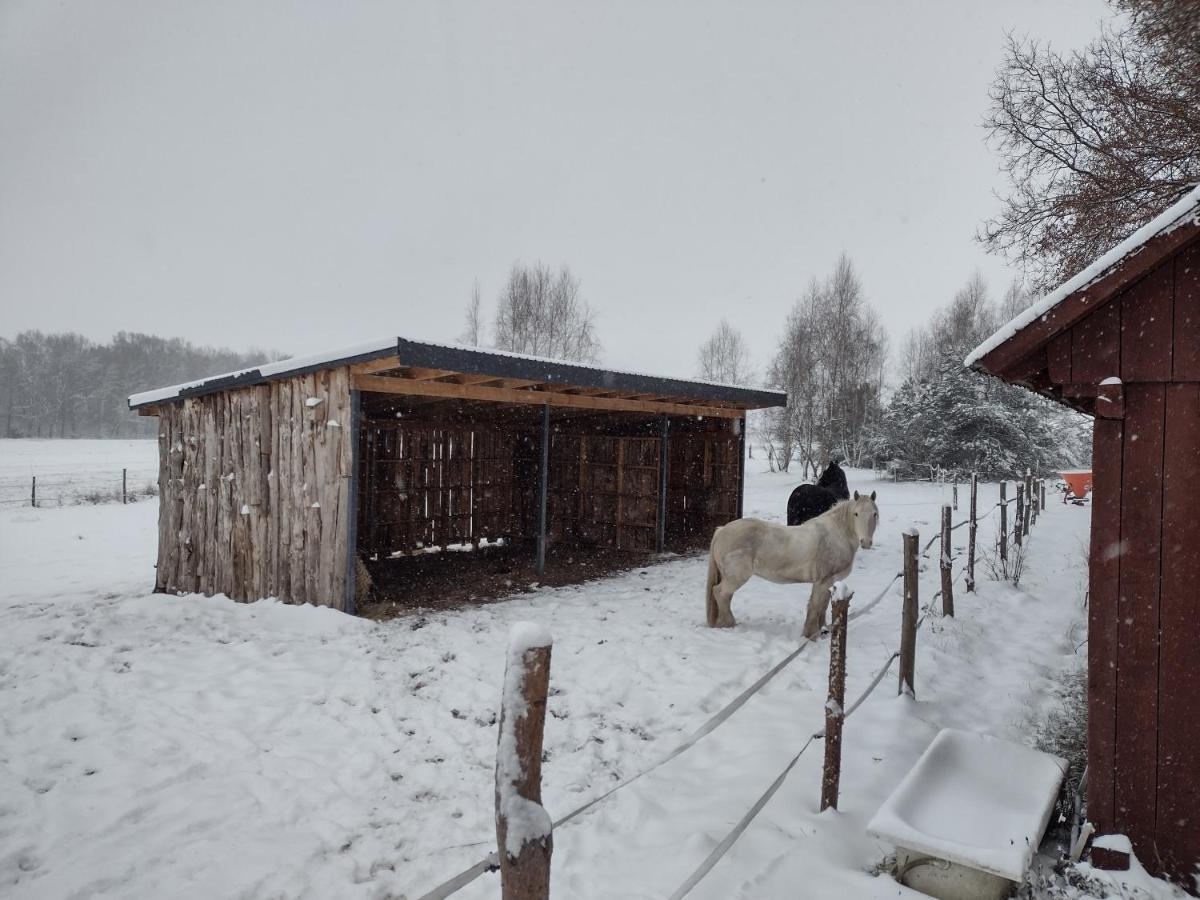 Kolorowe Wzgorze Agroturystyka I Konie Trojanow Exterior photo
